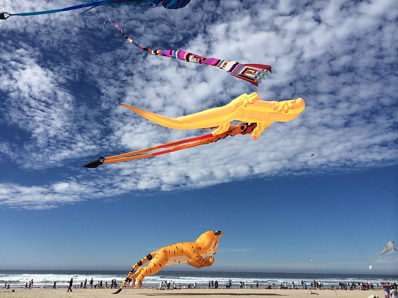 Kites, kites, nature, sky, HD wallpaper
