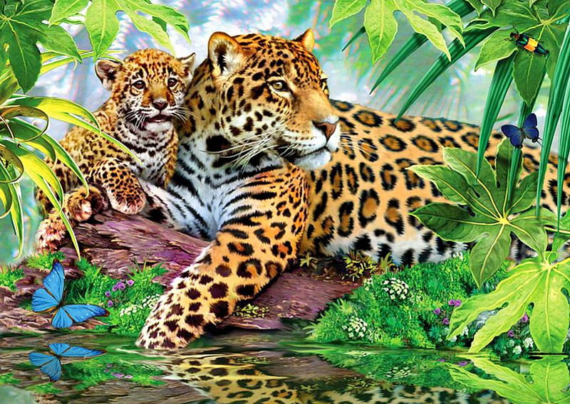 Leopards, family, bonito, leaves, butterfly, wild, painting, jungle, reflection, animals, art, exotic, trees, palms, lake, pond, plants, summer, cats, HD wallpaper