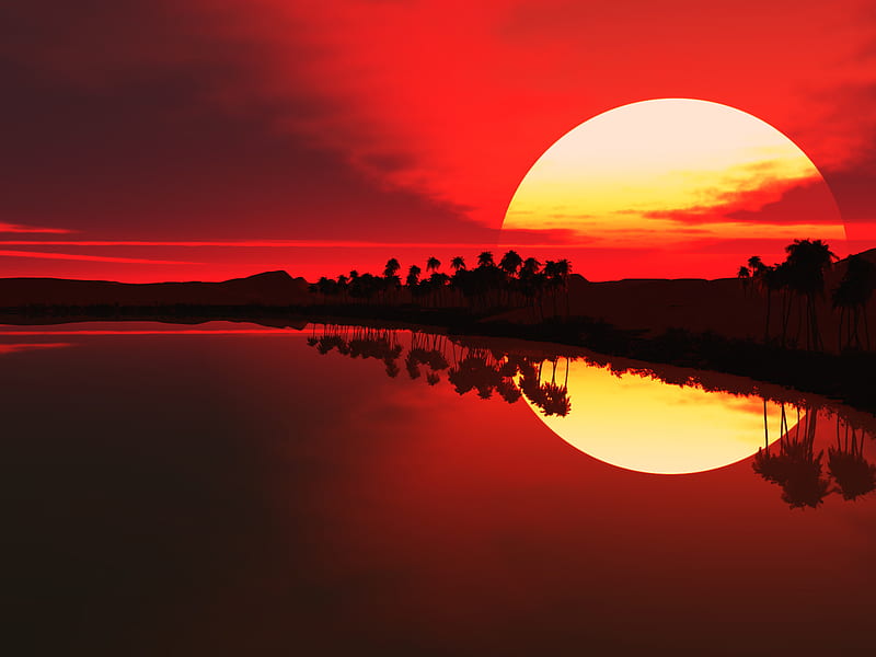 Sunset Glory, red, sunset, sun, palms, HD wallpaper