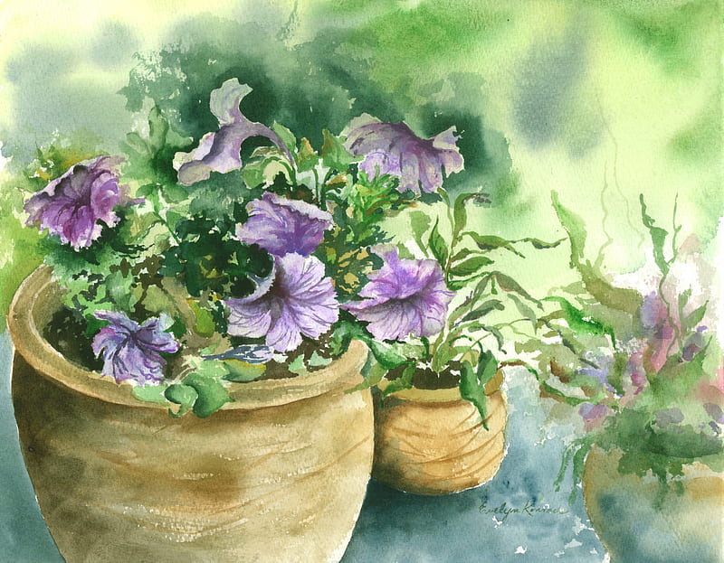 Potted Purple Petunias, pots, purple, flowers, petunias, watercolor, HD wallpaper
