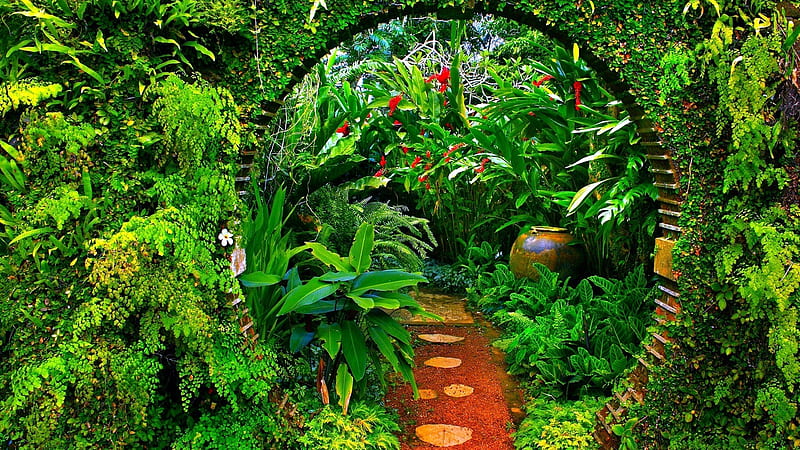 Pathway In Garden With Green Plants And Arch Garden, HD wallpaper