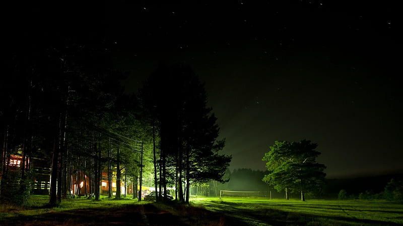 night on a summer camp, forest, houses, field, lights, night, HD wallpaper