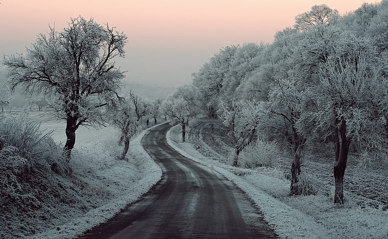 Winter Road Snow Frozen Trees On Sides , winter, snow, road, trees, nature, HD wallpaper