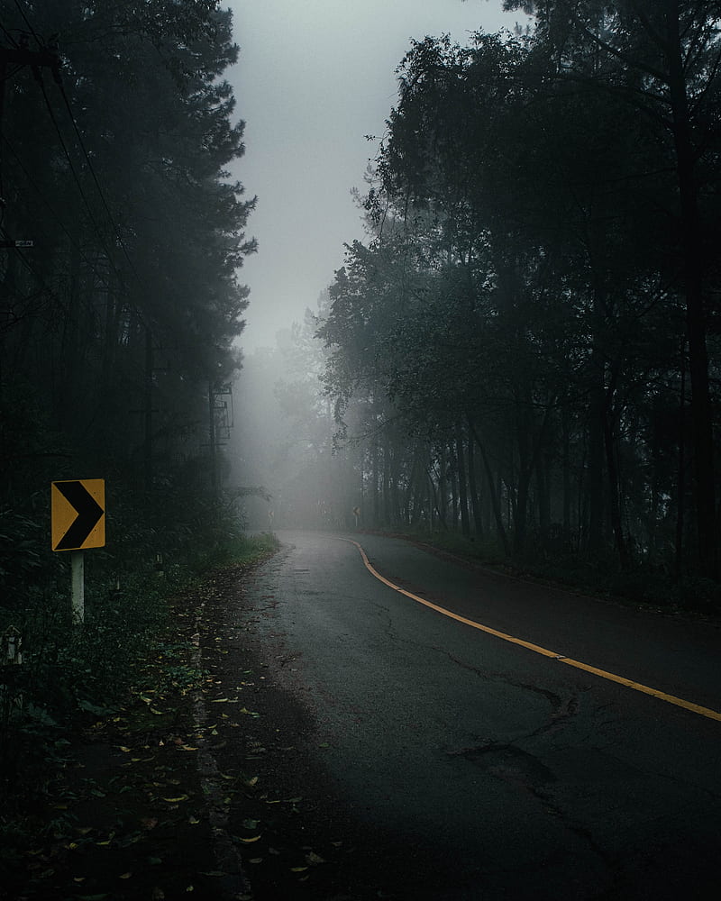 road, fog, trees, mist, nature, HD phone wallpaper