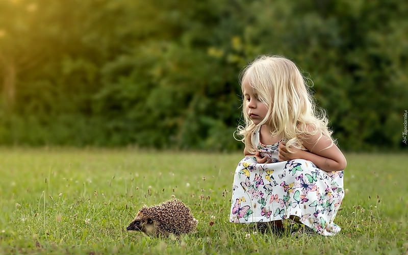 Little Girl and Hedgehog, grass, hedgehog, girl, child, animal, HD wallpaper