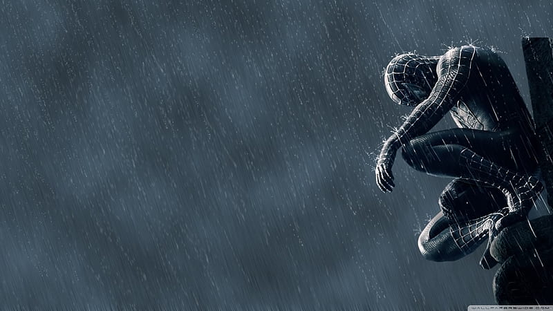 Spider Man In The Rain Ultra Background for U TV : Tablet : Smartphone, Heavy Rain Game, HD wallpaper