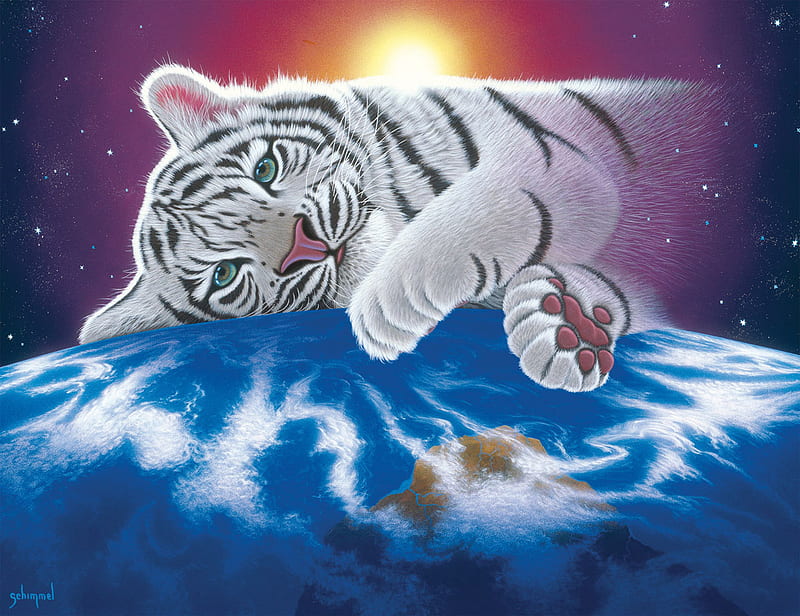 William Schimmel white tiger, world, sun, schimmel, tiger, white, HD wallpaper