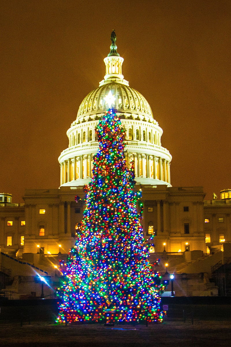 Merry Christmas, christmas tree, ornaments, lights, u s capital, HD phone wallpaper