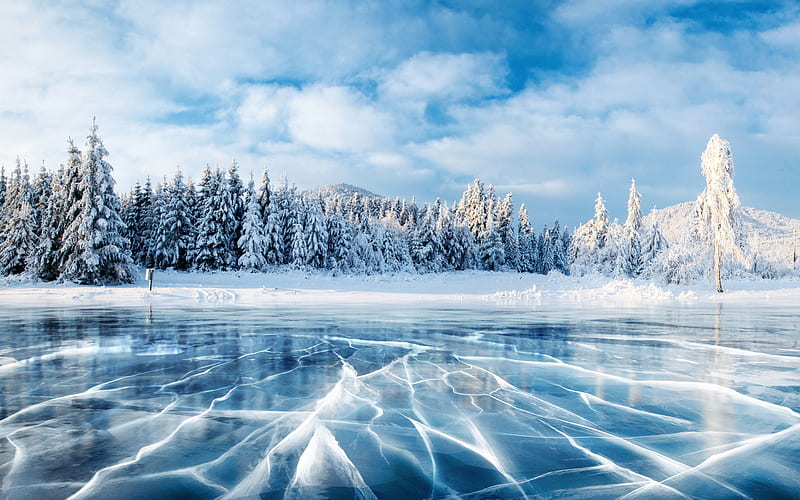 Earth, Winter, Ice, Landscape, Tree, HD wallpaper