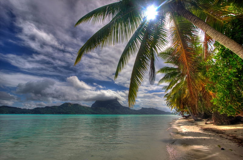 One Foot Island South Pacific - Paradise, polynesia, reef, sun, palm, sea, atoll, beach, lagoon, sand, foot, blue, exotic, islands, rise, ocean, rangiroa, pacific, one, coral, south, set, tree, alone, paradise, island, tropical, HD wallpaper