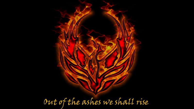 Out Of The Ashes We Shall Rise Out Rise Phoenix We Burning Spiritual Hope Hd Wallpaper Peakpx