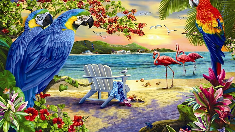 Papagei, Rot, Blau, Deutschland, HD wallpaper