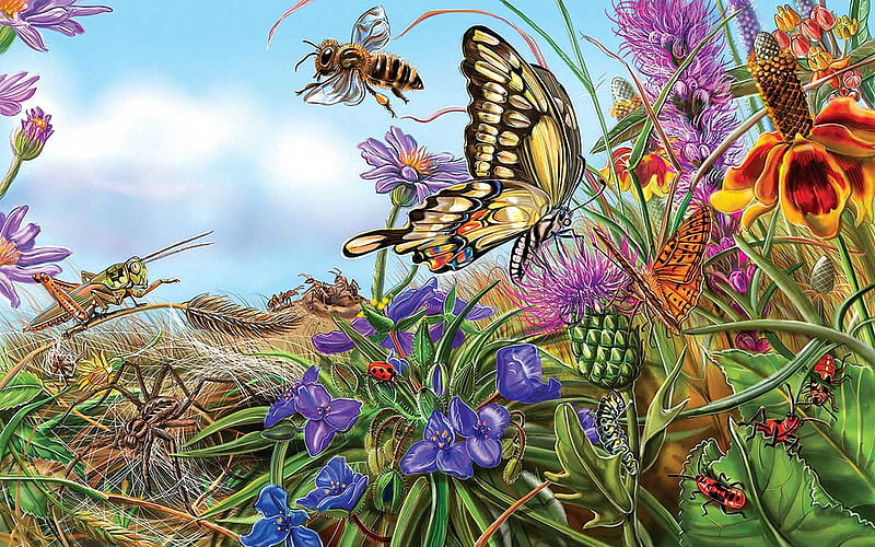 Prairie spread, bee, flowers, butterfly, insects, painting, HD wallpaper