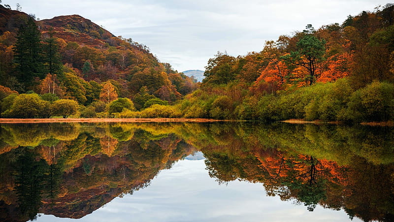Autumn Colours at Yew Tree Tarn, Lake District, UK, leaves, fall, clouds, trees, colors, sky, water, reflections, landscape, HD wallpaper