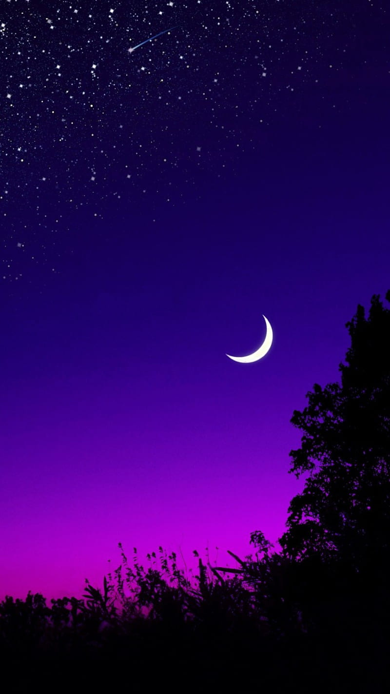 Purple Sky , dark, moon, nature, night, HD phone wallpaper