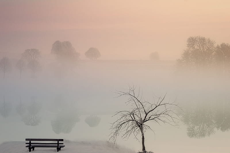 lake, fog, bench, shore, nature, HD wallpaper