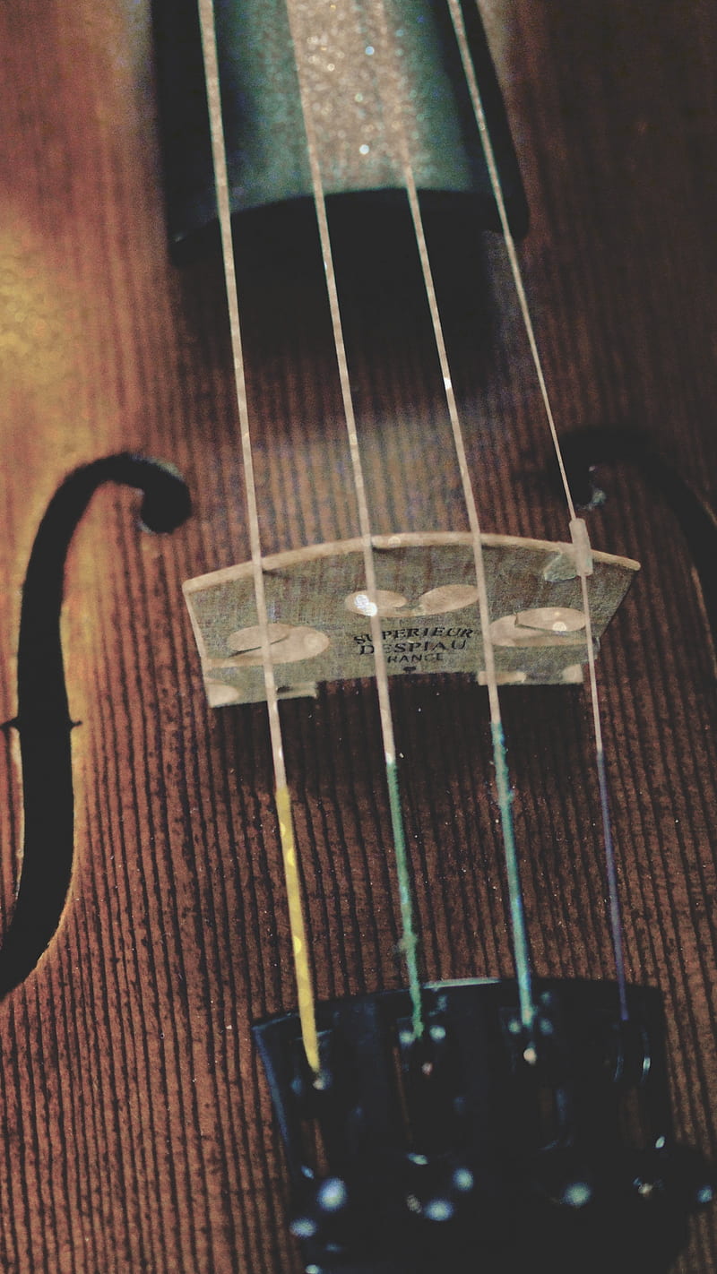 Violin Strings , wooden, instrument, musical instrument, music, violin strings, HD phone wallpaper