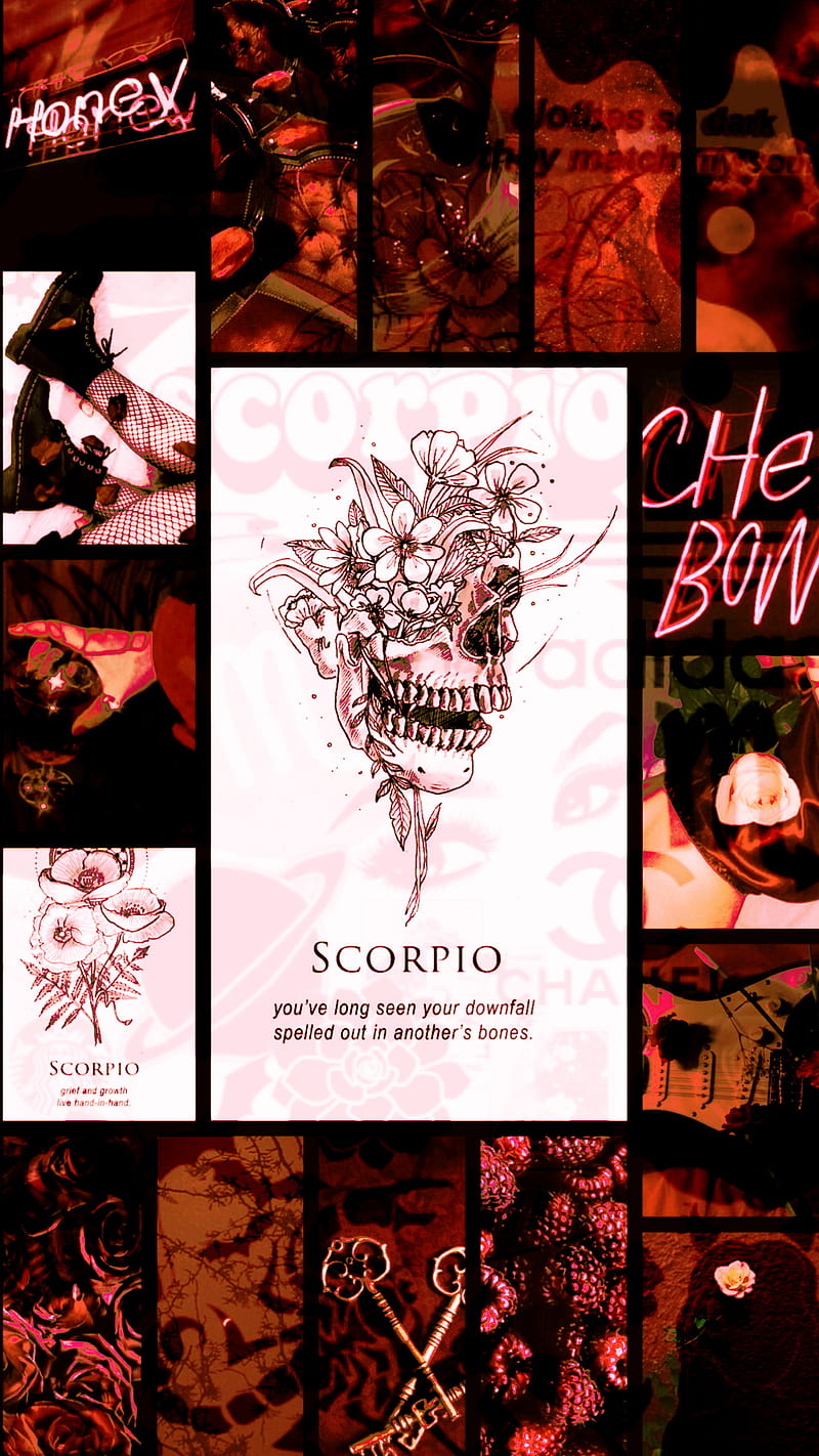 Scorpio, zodiac sign, HD phone wallpaper