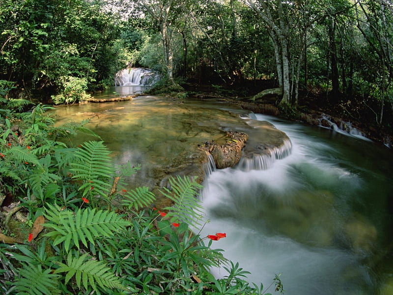 mato grosso betione serra de bodoquena brazil, nature, river, HD wallpaper