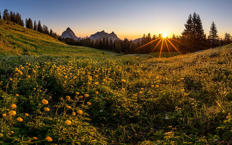 Switzerland, Alps mountains, summer, meadow, sunset, beautiful nature, Europe, HD wallpaper