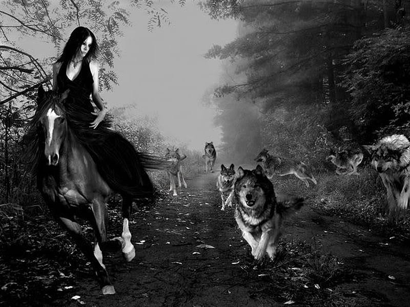 Between friends, pretty, angel, black, horse, goth, fantasy, wild, dark, wolves, friends, HD wallpaper