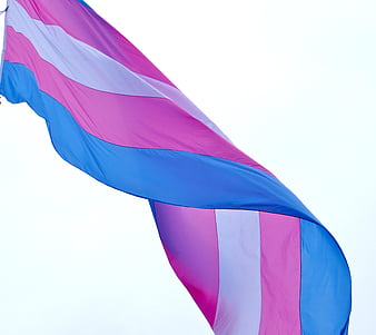 trans pride, ally, lgbt, transgender, HD wallpaper