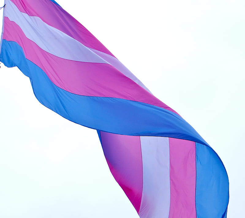 Orgullo trans, aliado, lgbt, transgénero, Fondo de pantalla HD | Peakpx