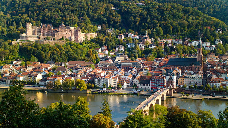 Aerial View Heidelberg Palace Erasmus Germany Travel, HD wallpaper