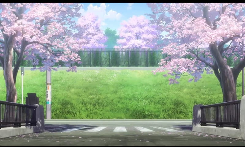 Blossom Path, sakura, scenic, sakura blossom, bonito, sky, cherry blossom, floral, blossom, green, anime, flower, beauty, scenery, pink, scene, HD wallpaper