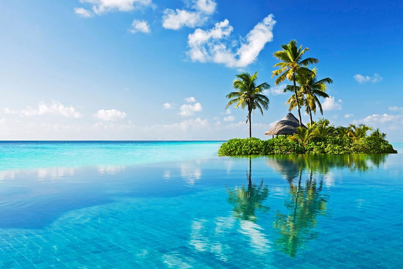 Beautiful Scenery, beach, nature, sky, palm trees, HD wallpaper