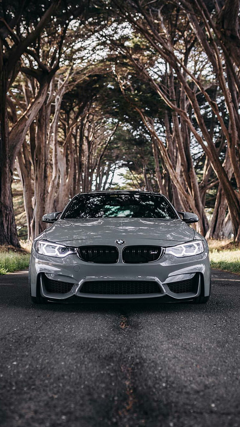 Bmw M3 Bmw Car F80 Front View Gray M3 Tuning Vehicle Hd Mobile Wallpaper Peakpx