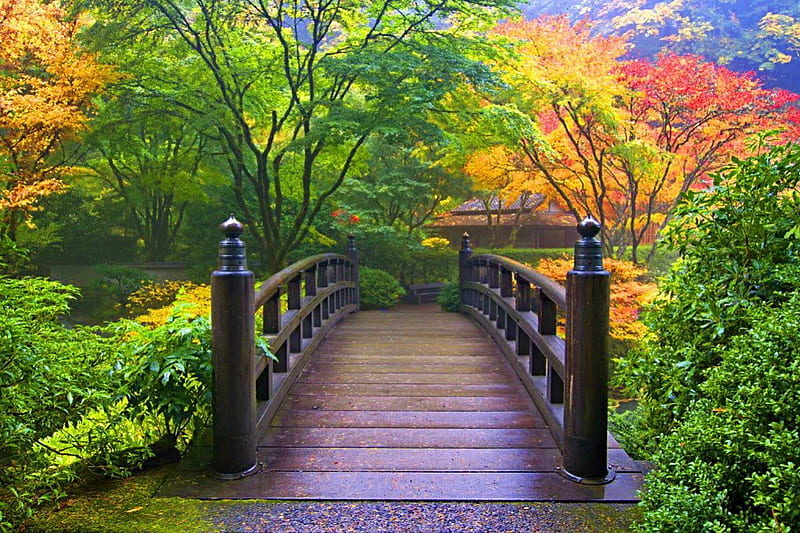 Wooden bridge, pretty, forest, colorful, lovely, japanese, bonito, trees, nice, bridge, summer, nature, river, wooden, HD wallpaper