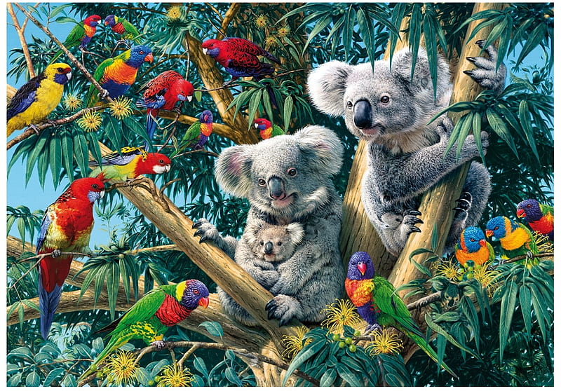 Koala Family, trees, painting, colors, birds, bears, parrots, artwork, HD wallpaper
