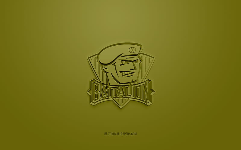 Official logo 1ST Battalion, 3rd Marine Regiment - NARA & DVIDS Public  Domain Archive Public Domain Search