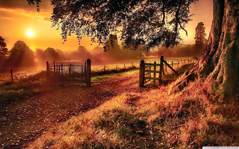 old-road-gate, nature, fields, outdoors, gates, HD wallpaper
