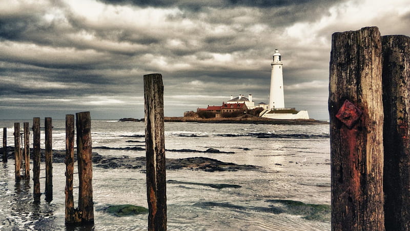 st marys lighthouse on an island off england coast, pillars, shore, island, overcast, lighthouse, sea, HD wallpaper