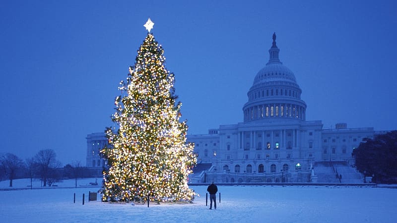merry, Christmas, Holiday, Winter, Snow, Beautiful, Tree, Gift, Santa / and Mobile Background, USA Christmas, HD wallpaper