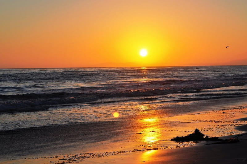 Beach Sunset California Beach California Nature Sunset Reflection Hd Wallpaper Peakpx