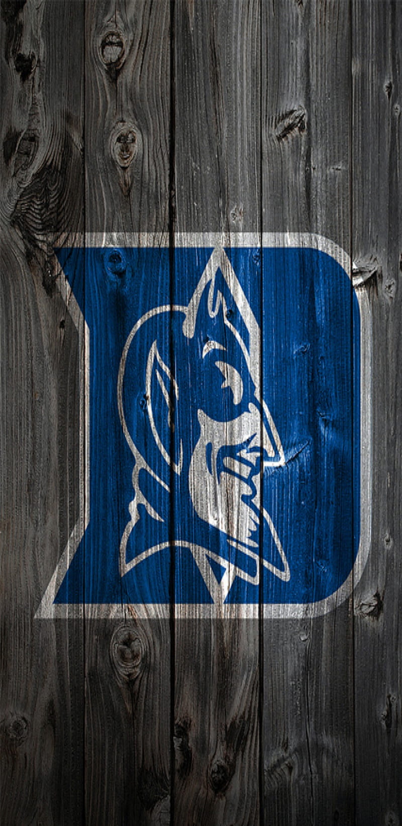 Duke Board, basketball, blue devils, hoops, nc, HD phone wallpaper