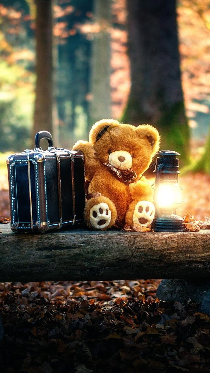Teddy Bear sad , forest, alone, cute, teddy bear, HD phone wallpaper