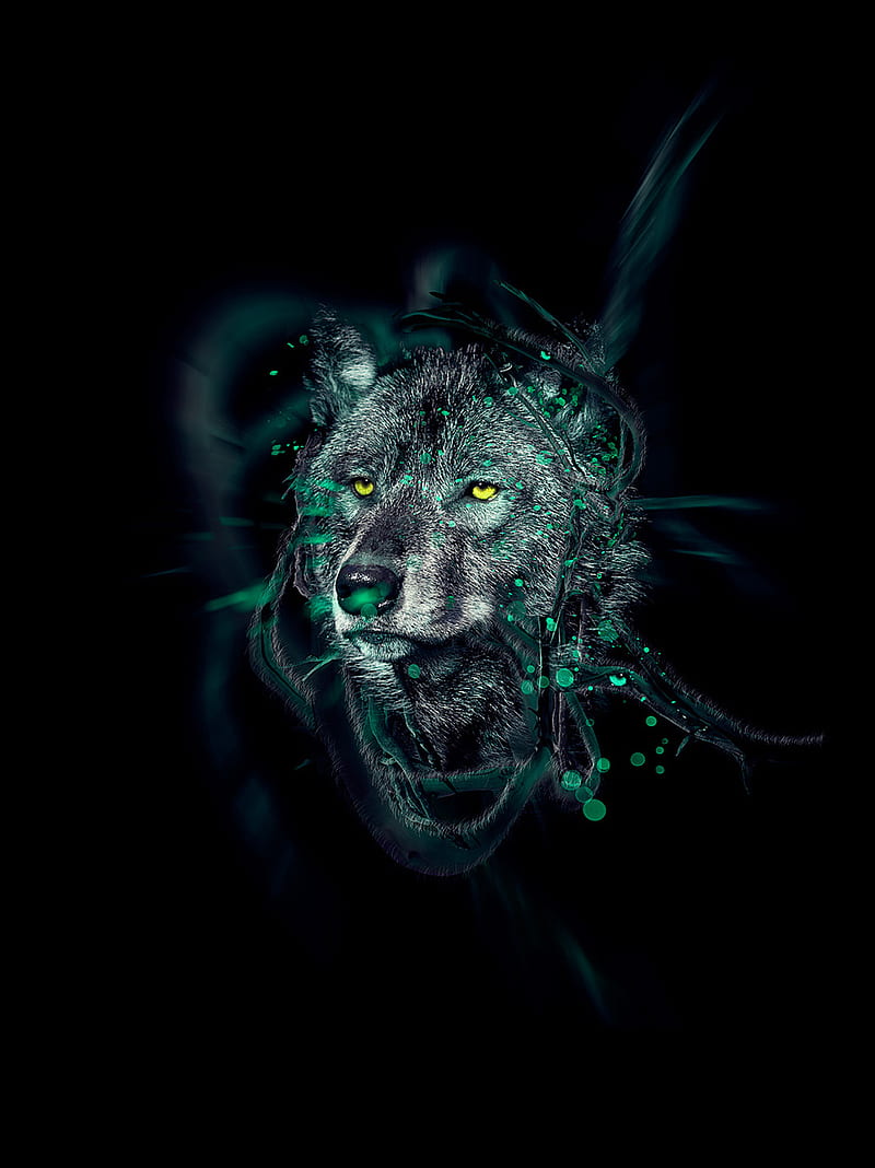 Lobo, oscuro, tangal, verde, trnding, art, rey, lobos, leones, Fondo de  pantalla de teléfono HD | Peakpx