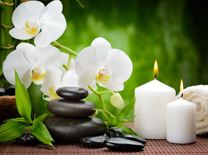 Spa Flowers, zen, relax, bamboo, candles, stones, oriental, orchid, spa, flowers, white, HD wallpaper
