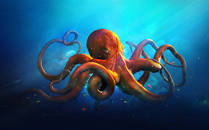 Octopus, underwater world, art, creative, HD wallpaper