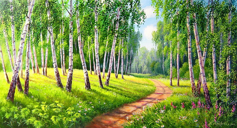 Birch forest, pretty, birch, bonito, nice, calm, pathway, wildflowers, painting, path, beauty, forest, quiet, lovely, fresh, greenery, flwoers, spring, trees, freshness, serenity, summer, HD wallpaper