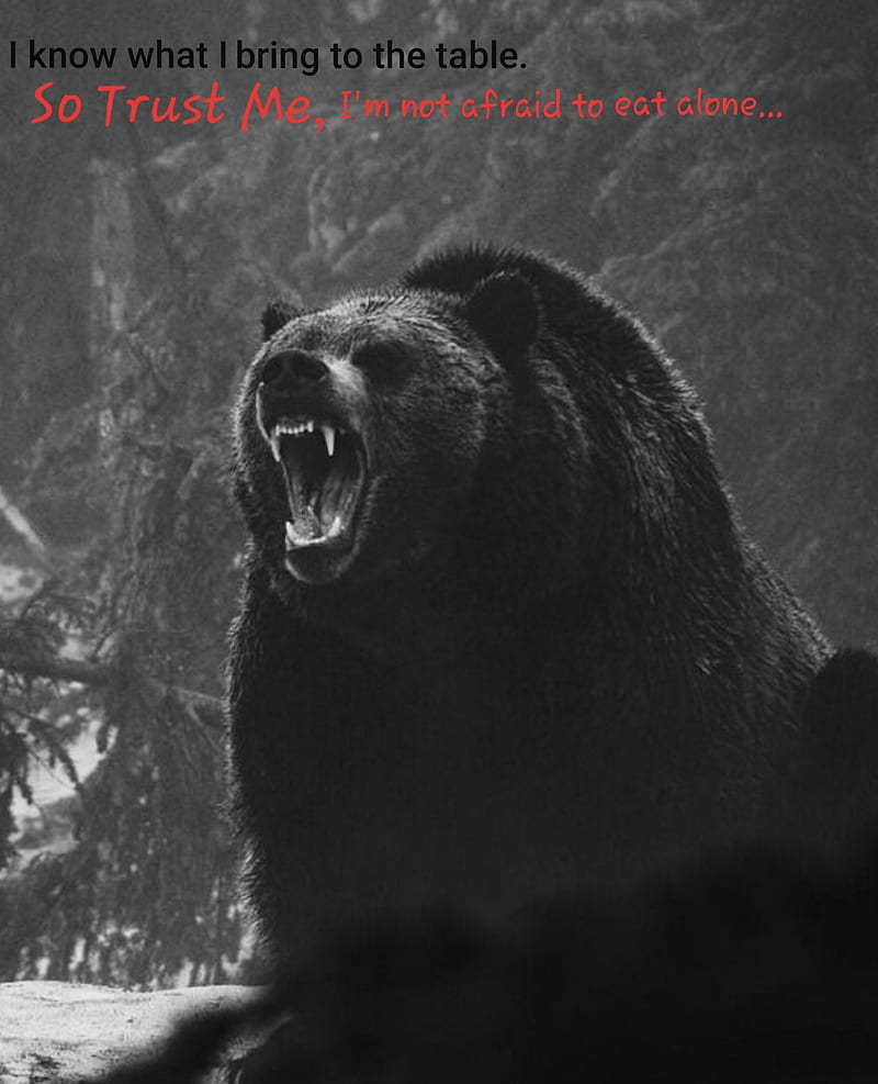Bring to the table, bears, bear, grizzly, motivation, warrior, HD phone wallpaper