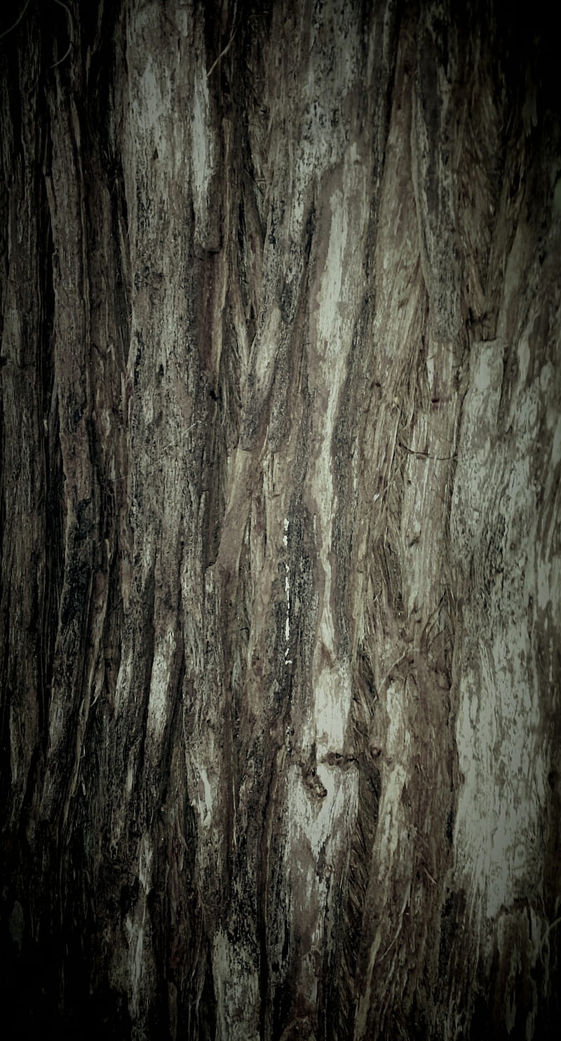 Wood plank, bark, brown, dark, detail ipad, iphone, nature, neutral, plank, s8, s8plus, texture, trees, wood, HD phone wallpaper