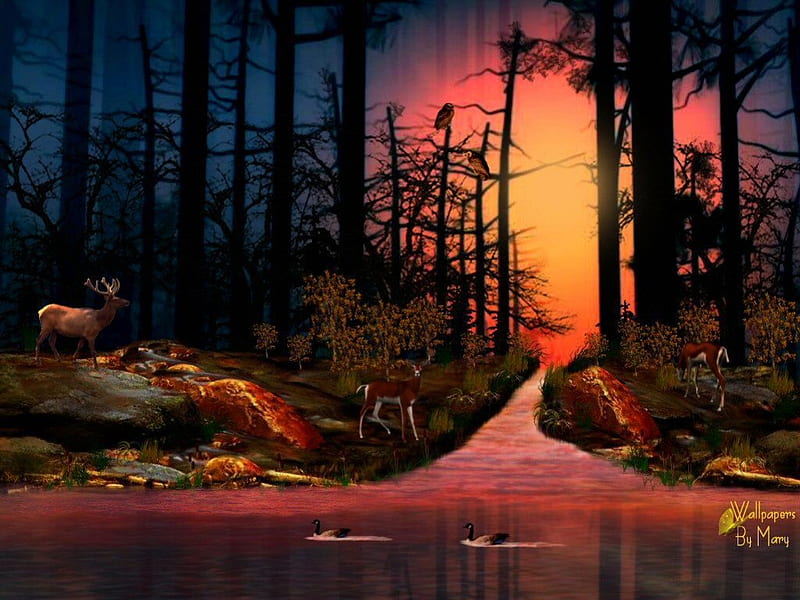 Night Shades, eagles, lakes, sunsets, caribou, forests, owls, rivers, deer, HD wallpaper