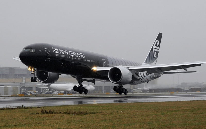 air new zealand 777 on rainy day, airplane, flight, flying, awesome, rome, jet, HD wallpaper