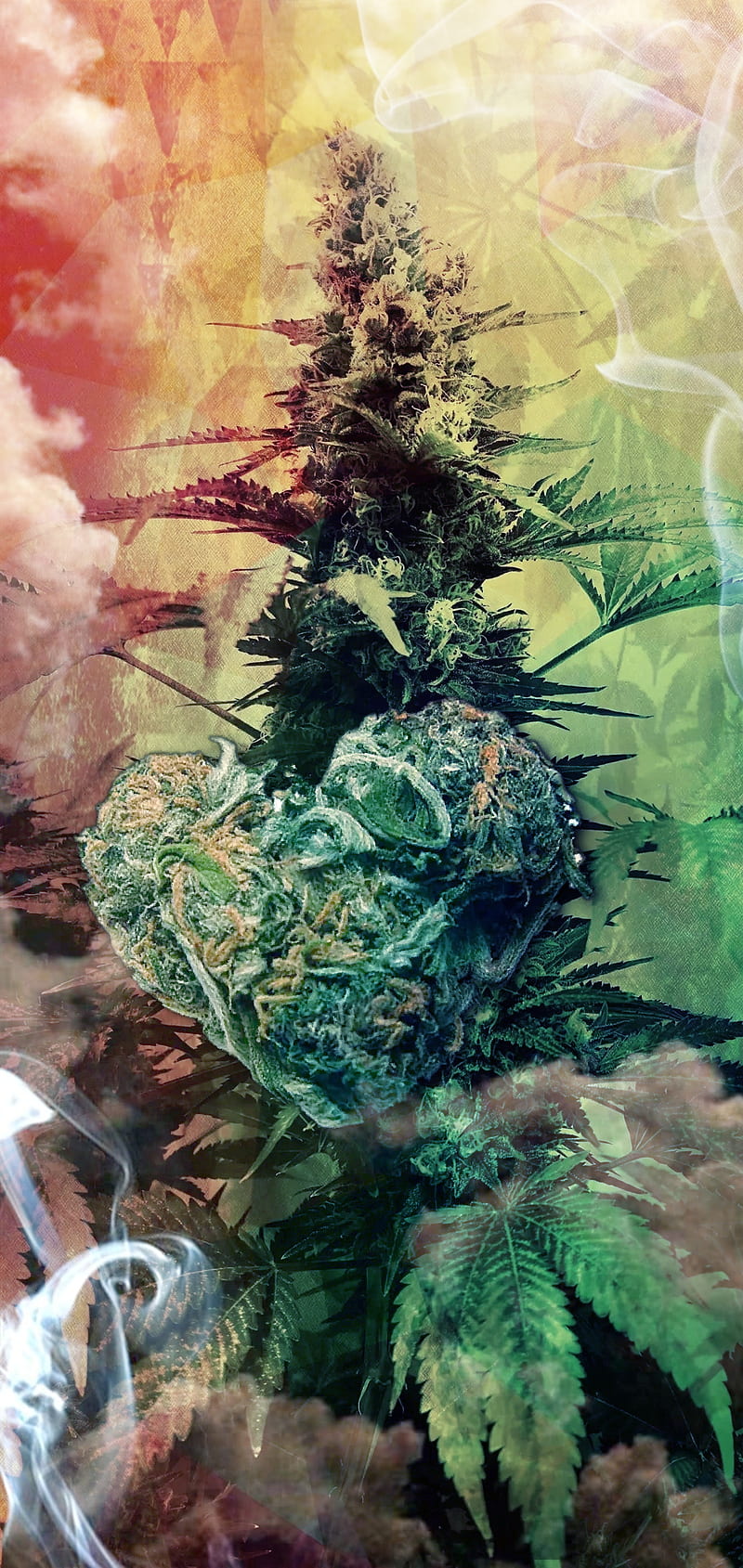 Legalización, cannabis, magia, marihuana, naturaleza, Fondo de pantalla de  teléfono HD | Peakpx