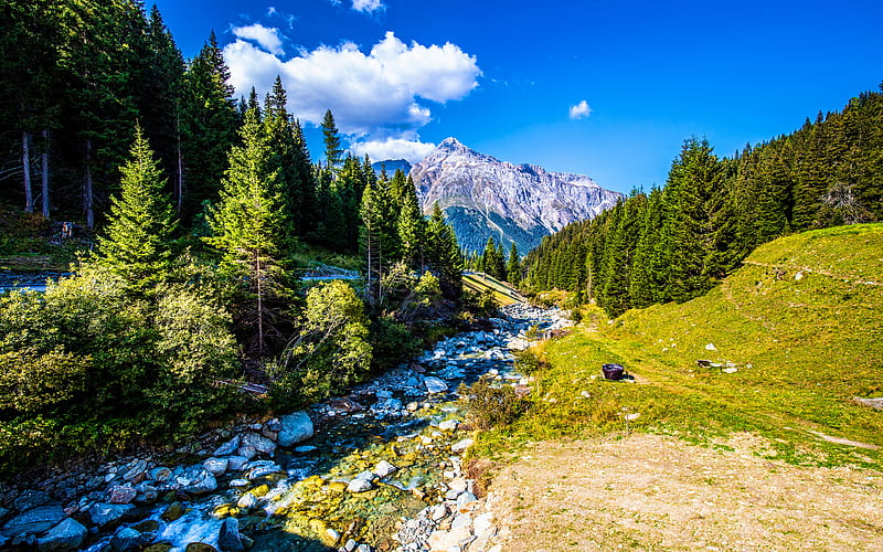 Switzerland mountains, Alps, stream, beautiful nature, Europe, swiss nature, forest, HD wallpaper